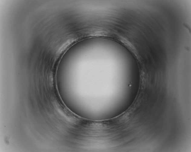 X0000103310298200809122058