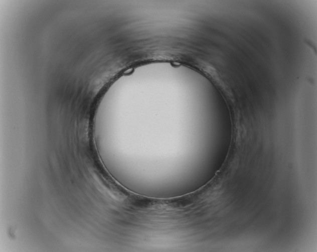X0000103310299200809122058