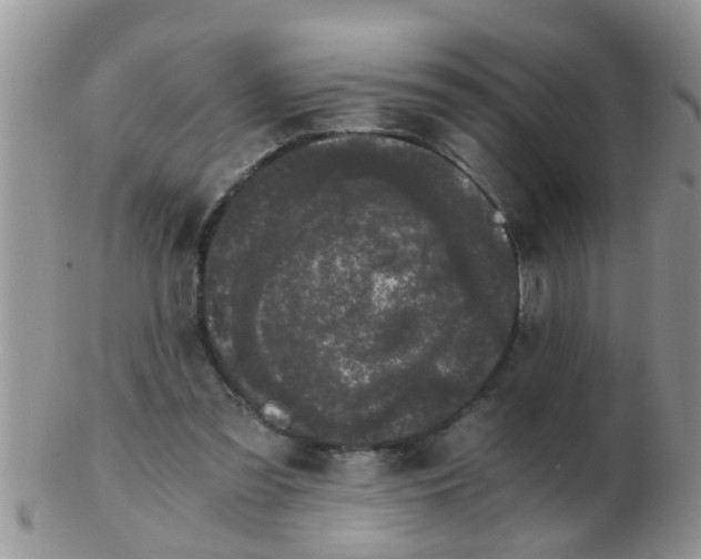 X0000103310301200809122058