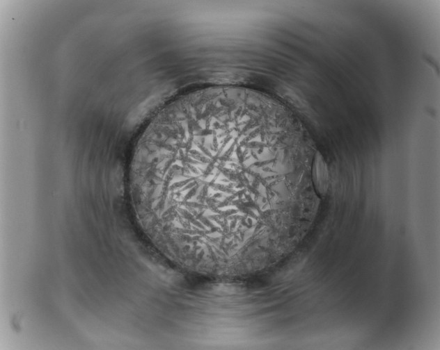 X0000103310303200809122058