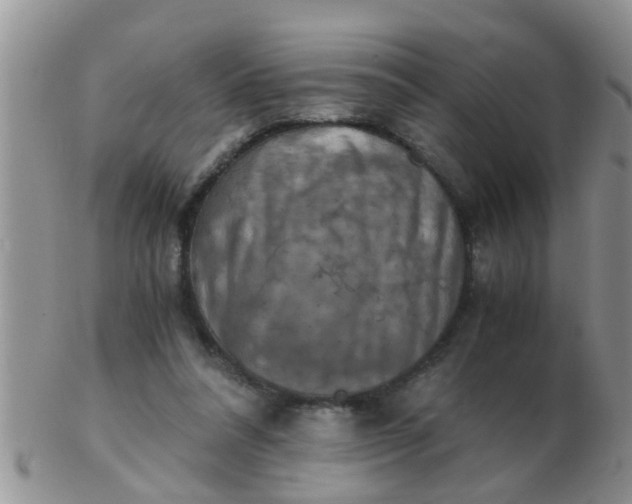 X0000103310304200809122058