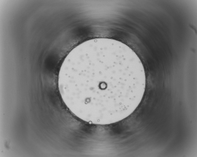 X0000103310305200809122058