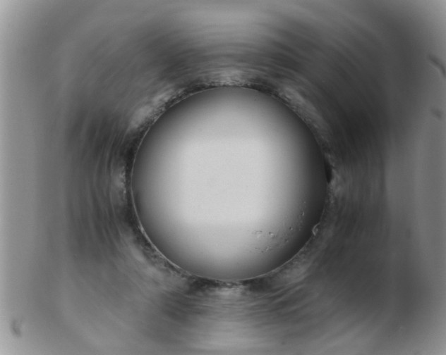 X0000103310306200809122058