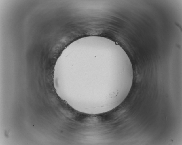 X0000103310307200809122058