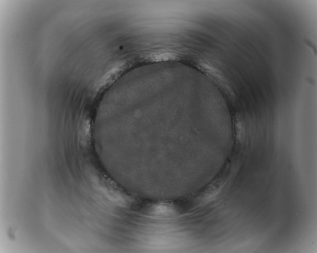 X0000103310308200809122057