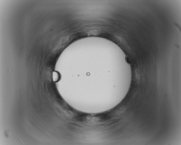 X0000103310311200809122057