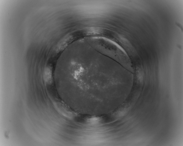X0000103310312200809122057