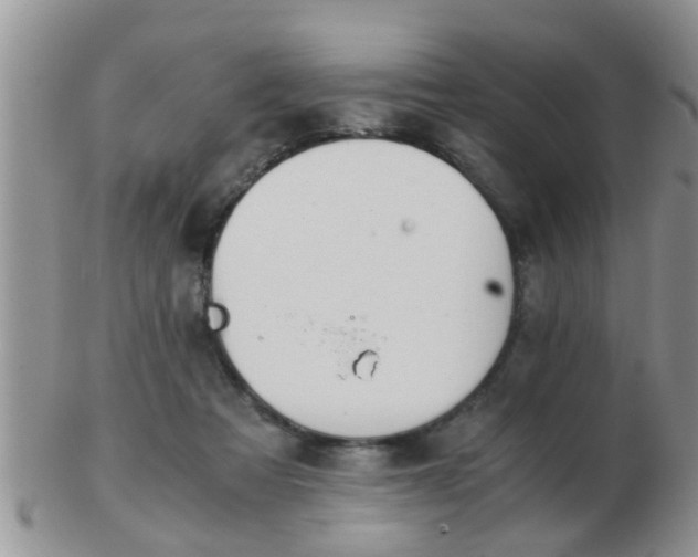 X0000103310313200809122057