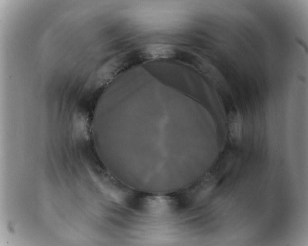 X0000103310316200809122057