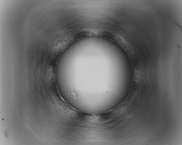 X0000103310318200809122057