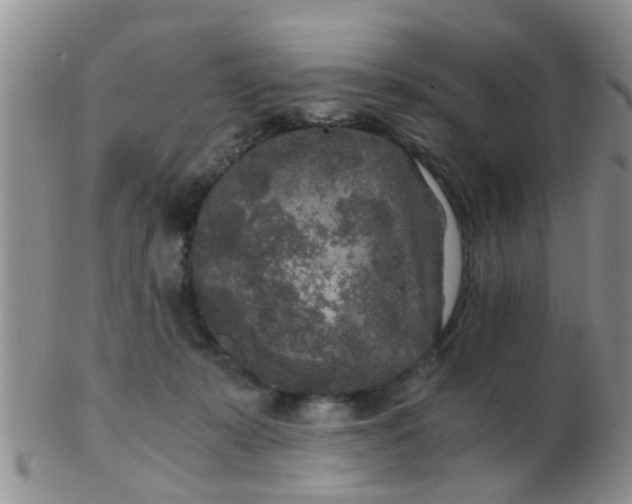 X0000103310319200809122057