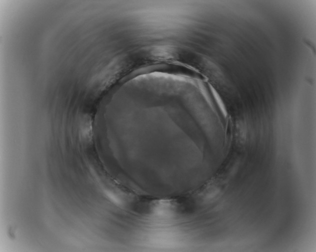 X0000103310320200809122057