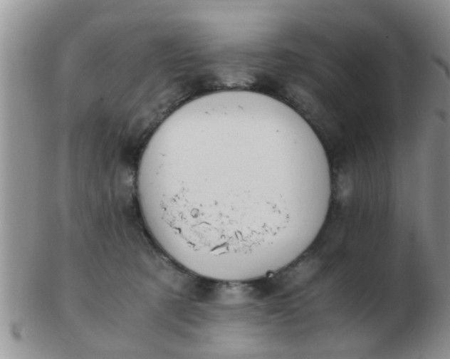 X0000103310321200809122057