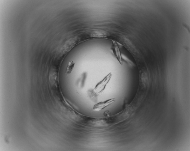 X0000103310322200809122057
