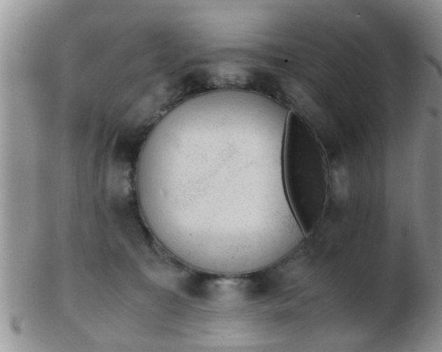 X0000103310323200809122057