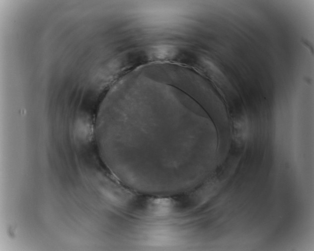 X0000103310324200809122057