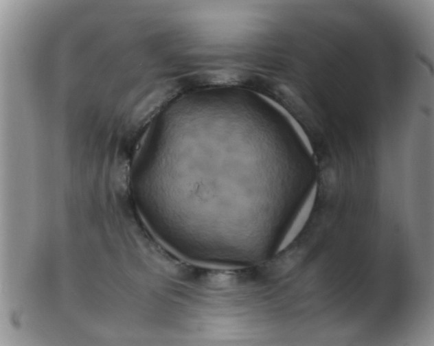 X0000103310325200809122057