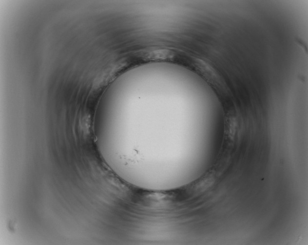 X0000103310326200809122057