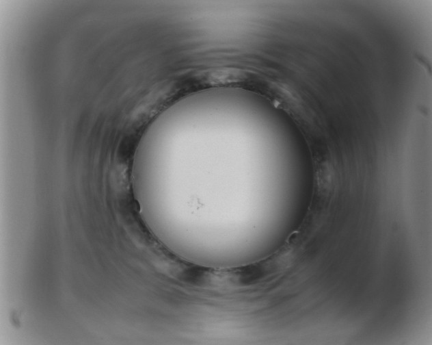 X0000103310327200809122057