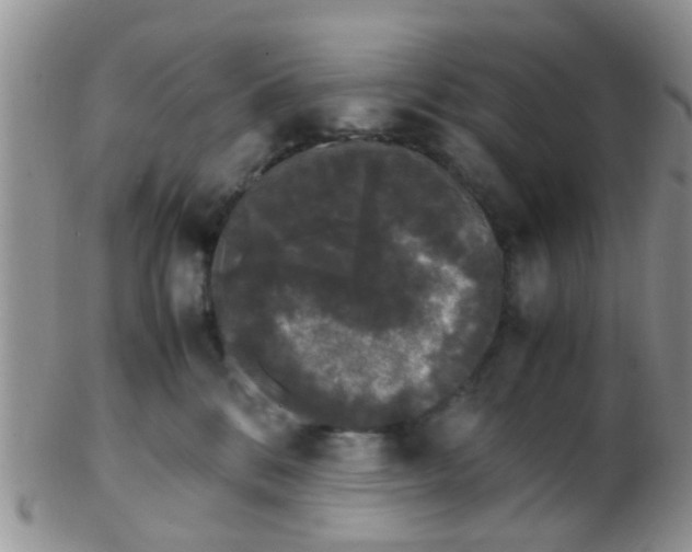 X0000103310328200809122057