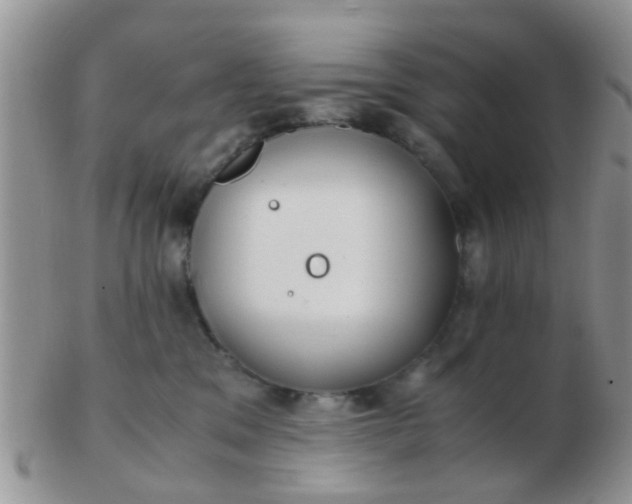 X0000103310329200809122057