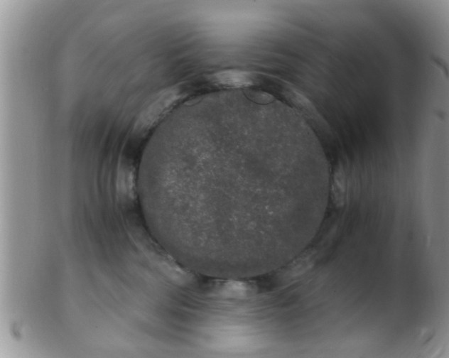 X0000103310330200809122057