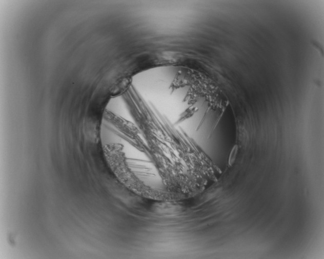 X0000103310331200809122057