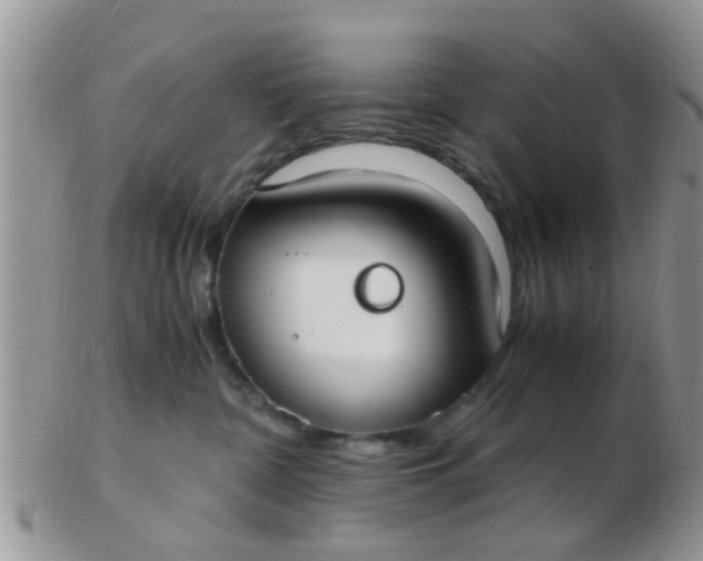 X0000103310332200809122057