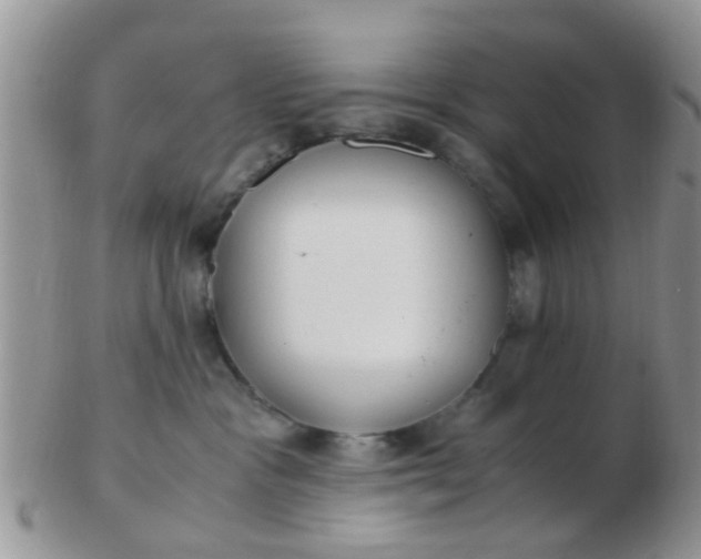 X0000103310333200809122057