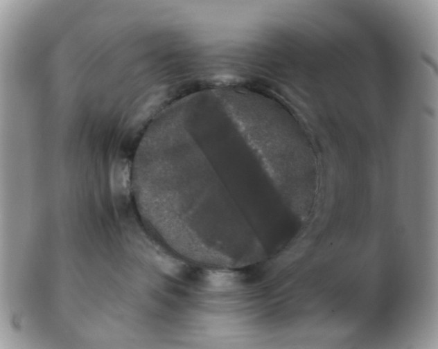 X0000103310336200809122057