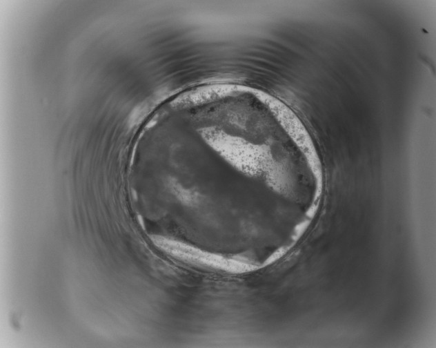 X0000103310337200809122056
