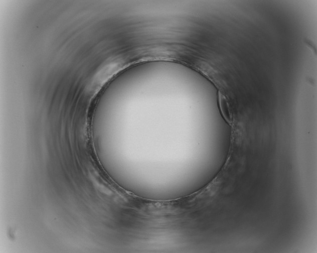 X0000103310338200809122056