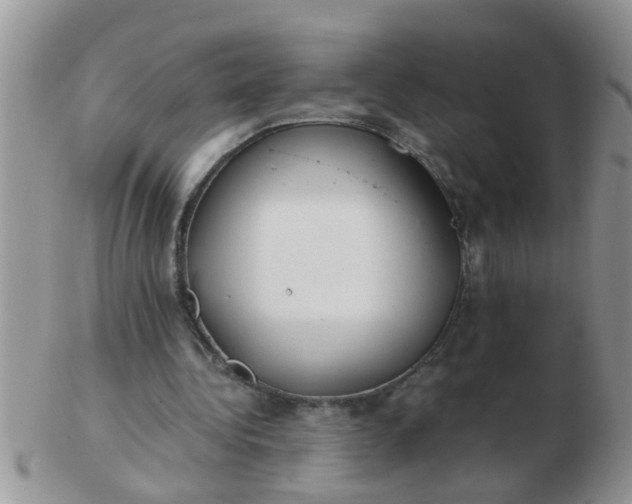 X0000103310340200809122056