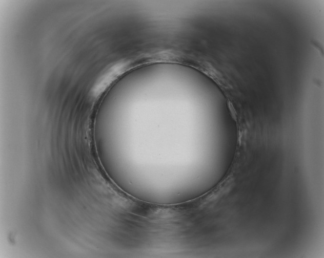X0000103310341200809122056