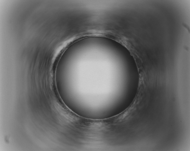 X0000103310342200809122056