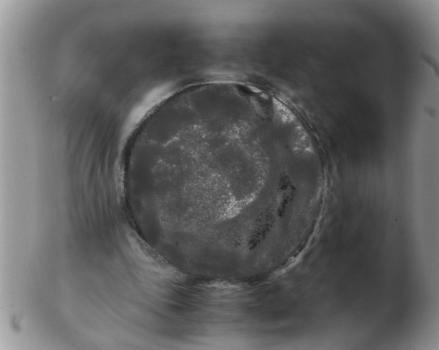 X0000103310343200809122056