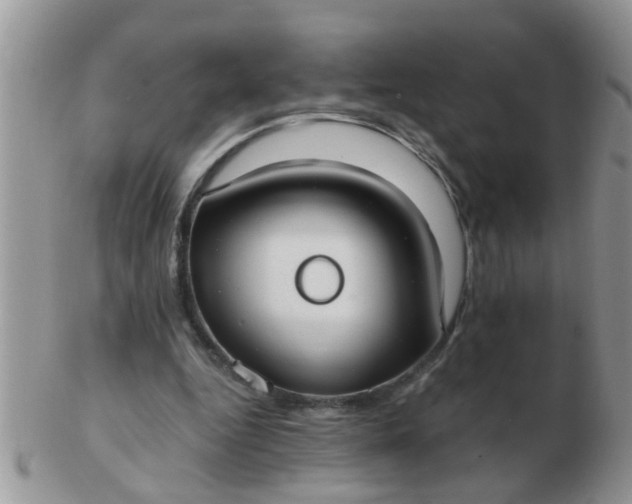 X0000103310344200809122056