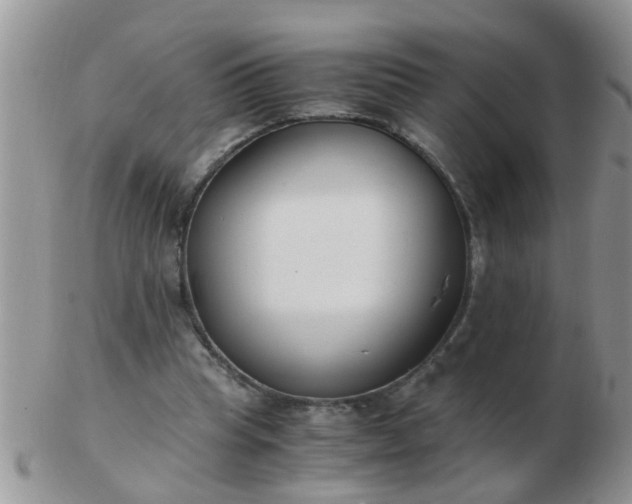 X0000103310345200809122056