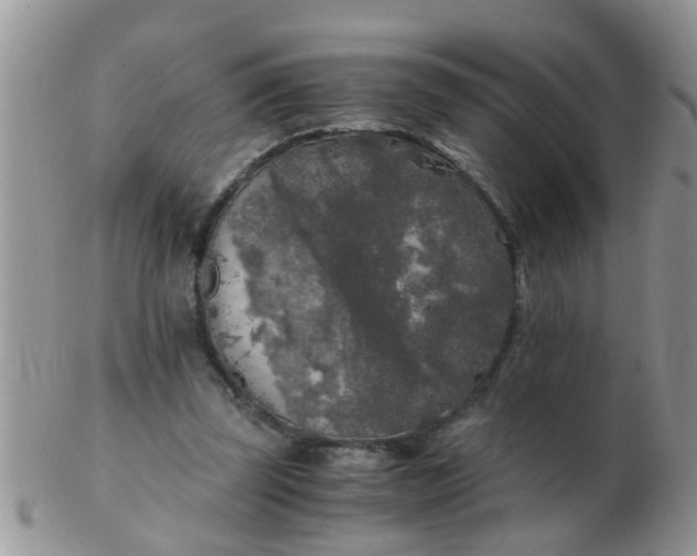 X0000103310347200809122056