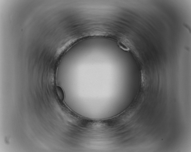 X0000103310348200809122056
