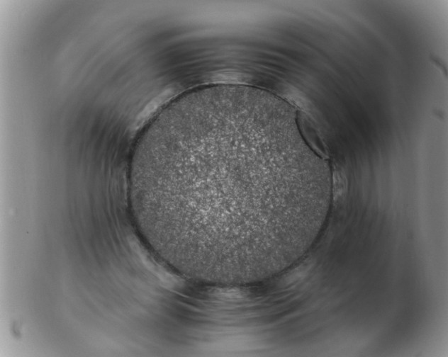 X0000103310349200809122056