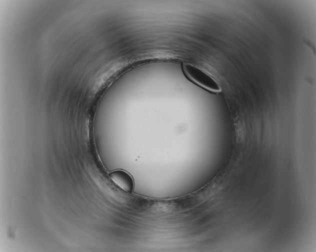 X0000103310350200809122056