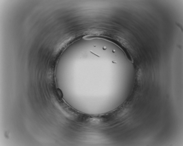 X0000103310352200809122056
