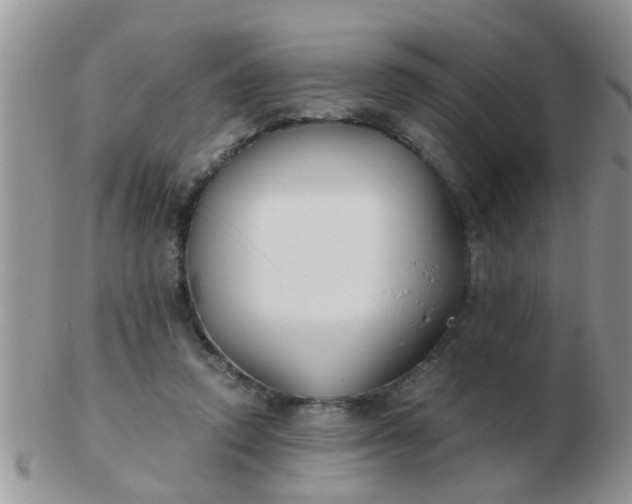 X0000103310354200809122057