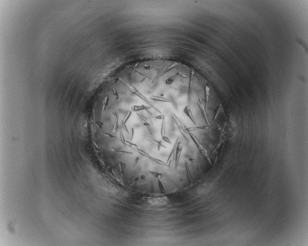 X0000103310355200809122057