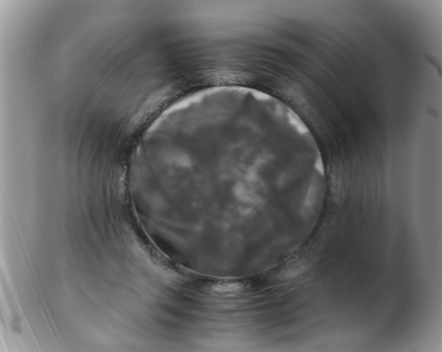 X0000103310357200809122057