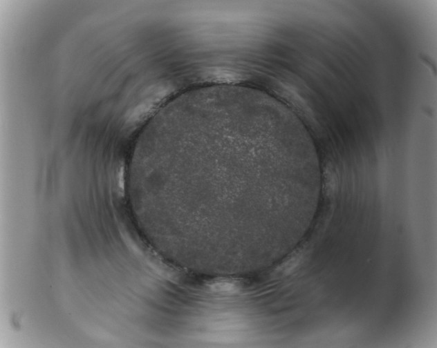X0000103310358200809122057