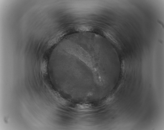 X0000103310359200809122057