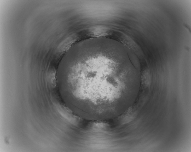 X0000103310360200809122057