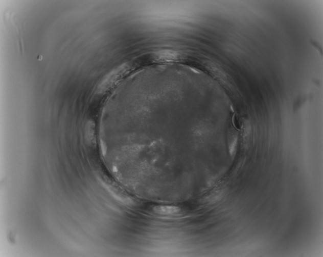 X0000103310361200809122057
